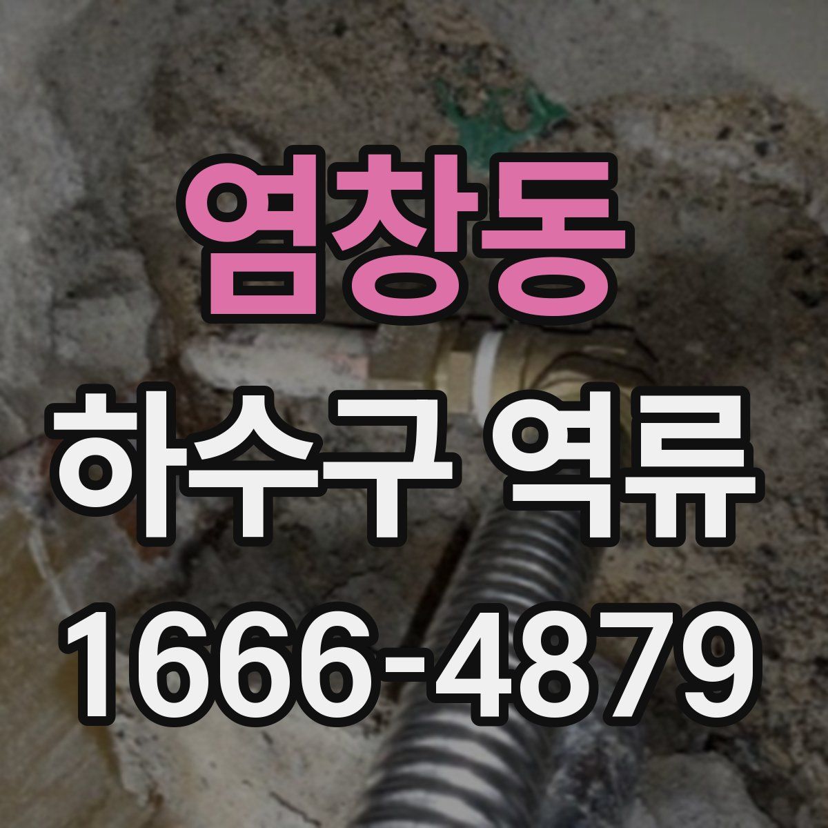 염창동 하수구 역류