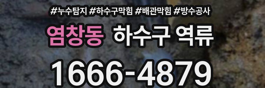 염창동 하수구 역류