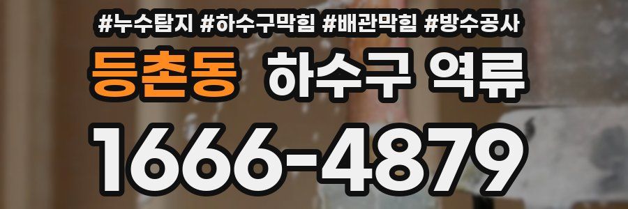 등촌동 하수구 역류