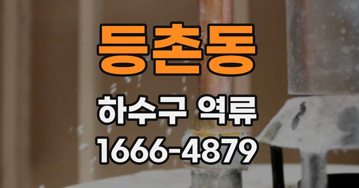 등촌동 하수구 역류
