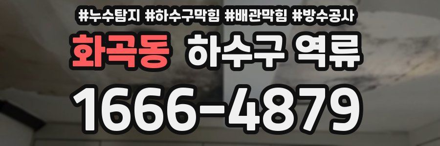 화곡동 하수구 역류
