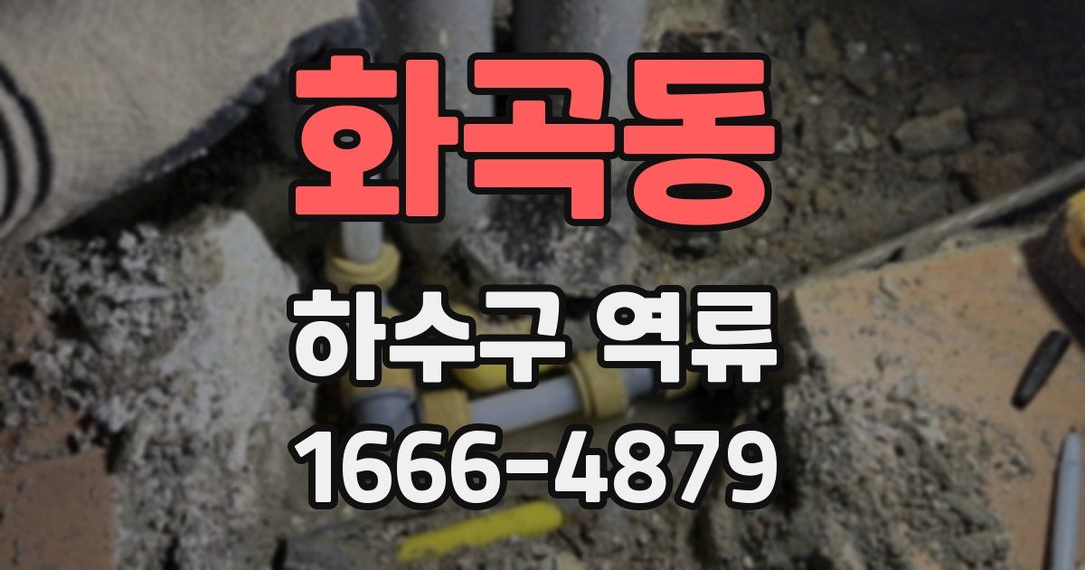 화곡동 하수구 역류