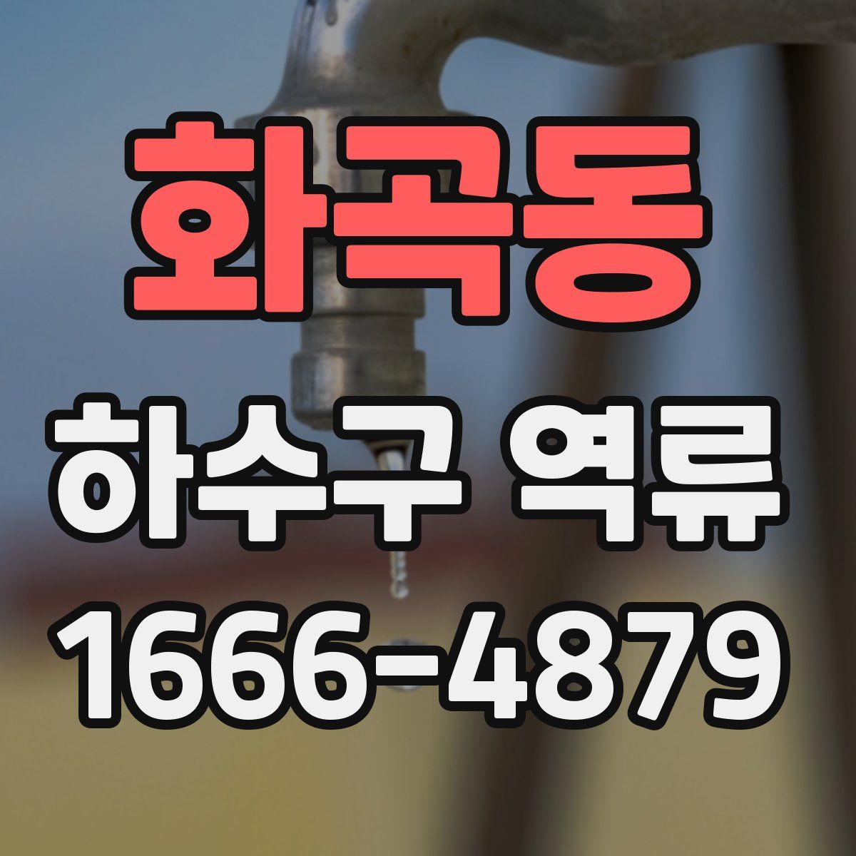 화곡동 하수구 역류
