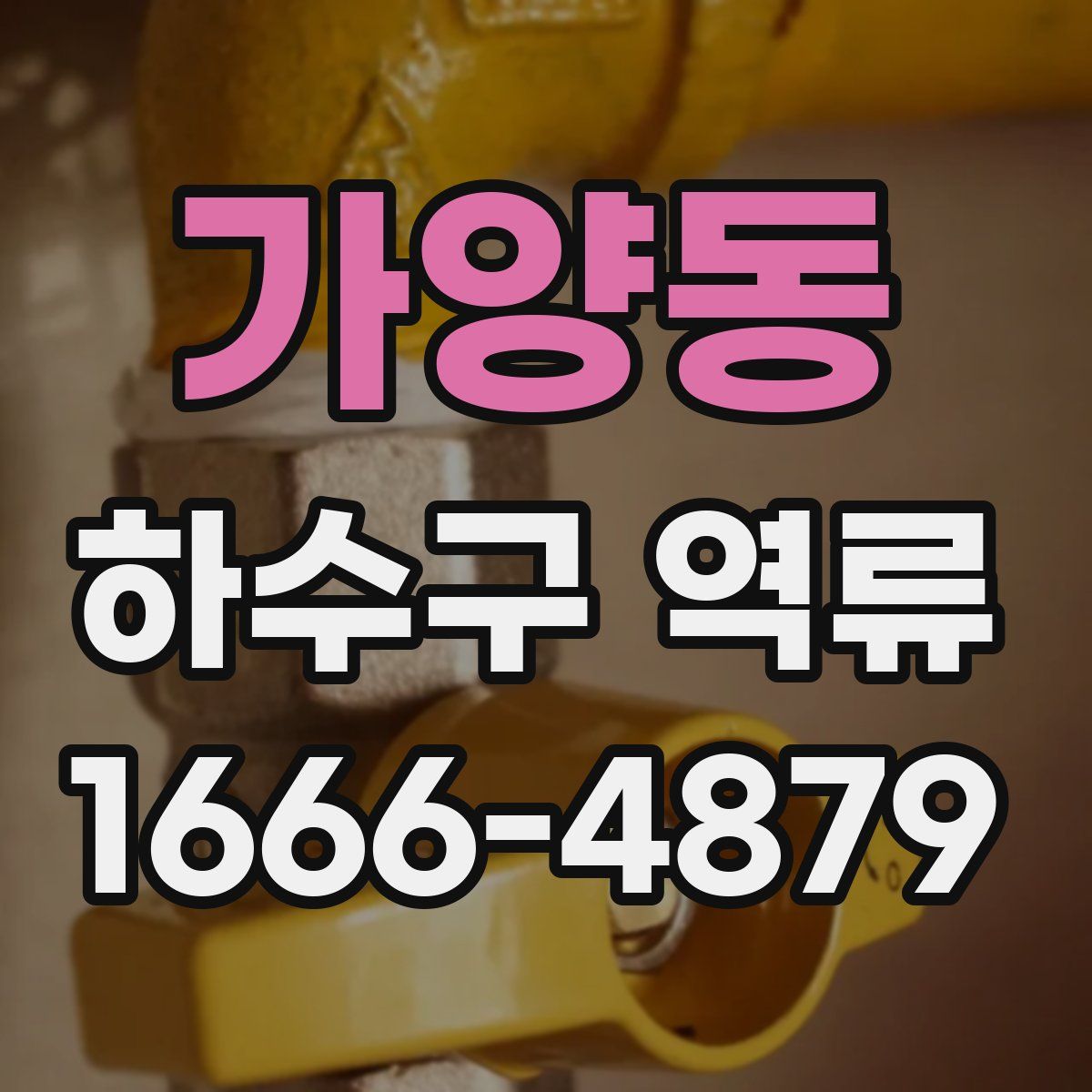 가양동 하수구 역류