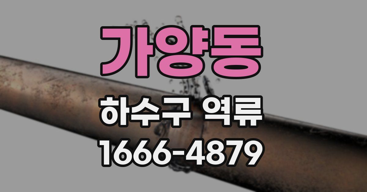 가양동 하수구 역류