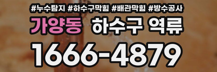 가양동 하수구 역류