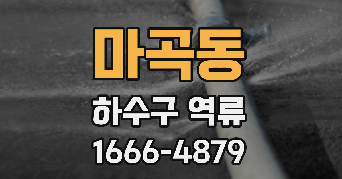 마곡동 하수구 역류