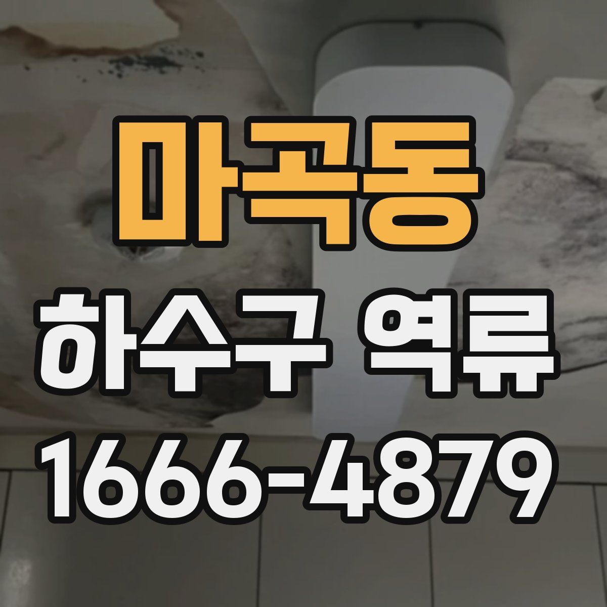 마곡동 하수구 역류