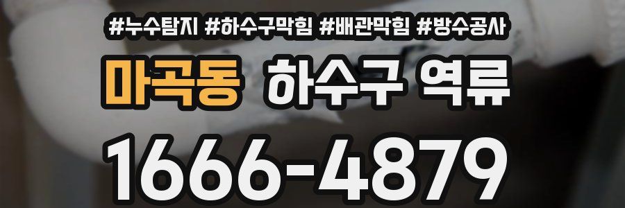 마곡동 하수구 역류