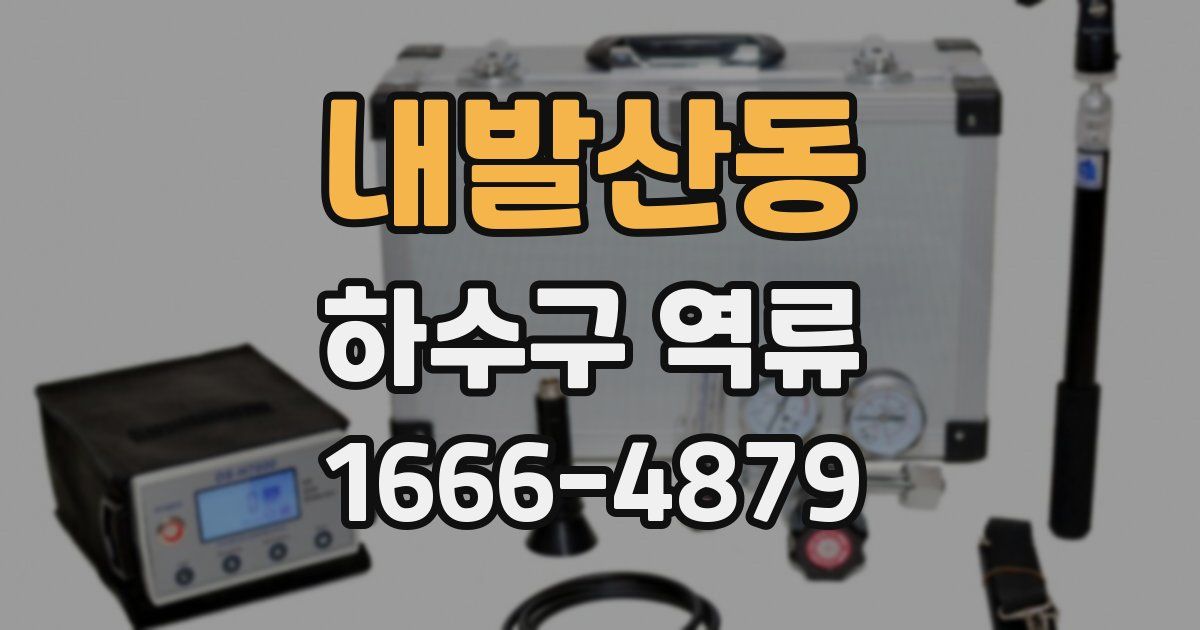 내발산동 하수구 역류