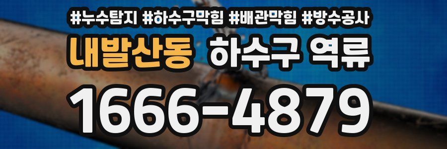 내발산동 하수구 역류