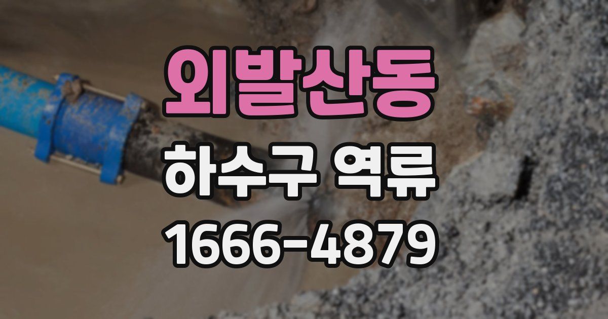 외발산동 하수구 역류