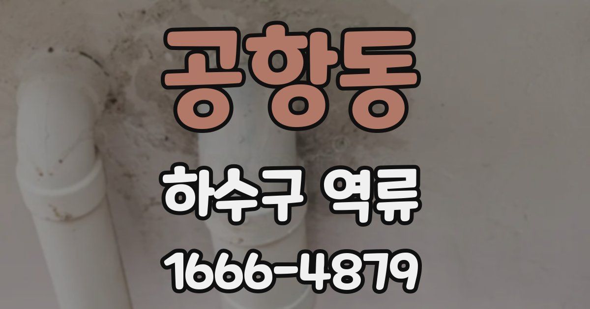 공항동 하수구 역류
