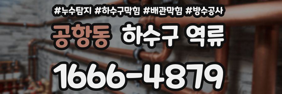 공항동 하수구 역류