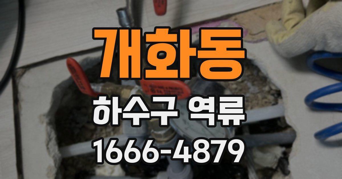 개화동 하수구 역류