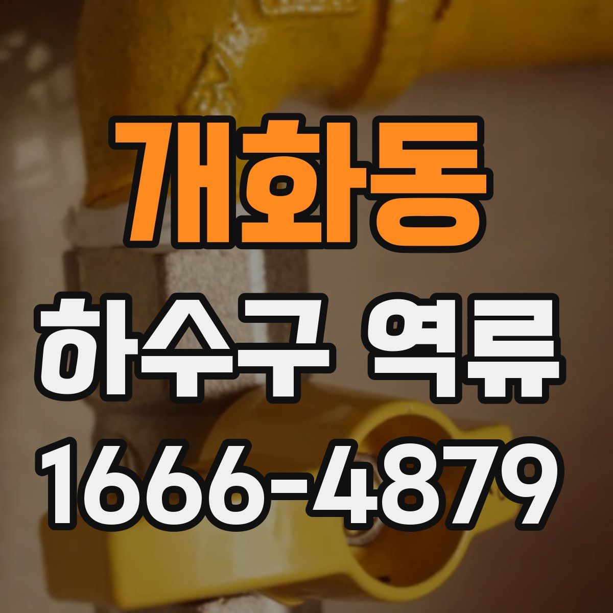 개화동 하수구 역류