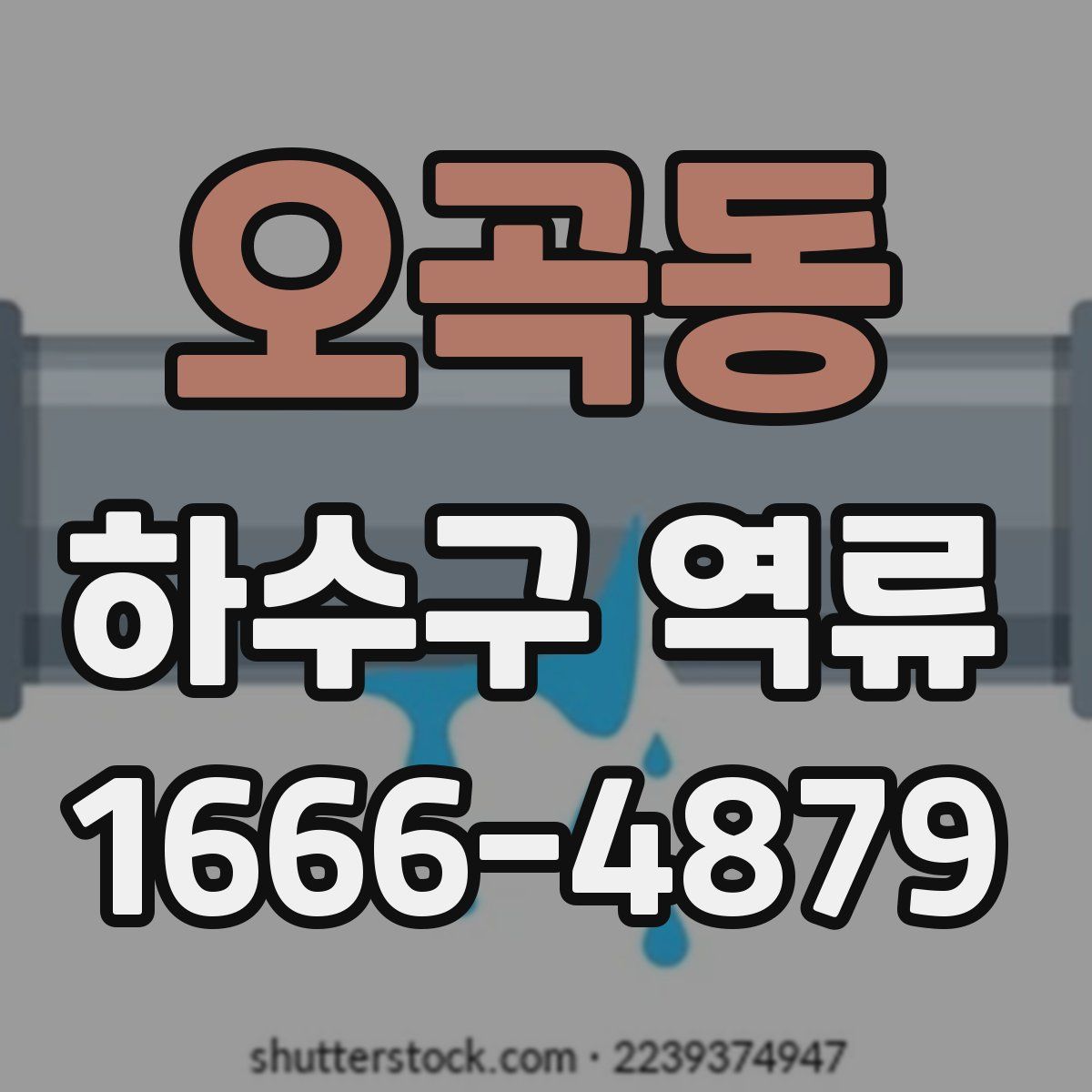 오곡동 하수구 역류