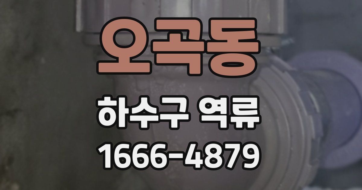 오곡동 하수구 역류