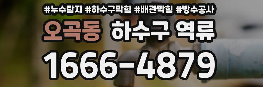오곡동 하수구 역류