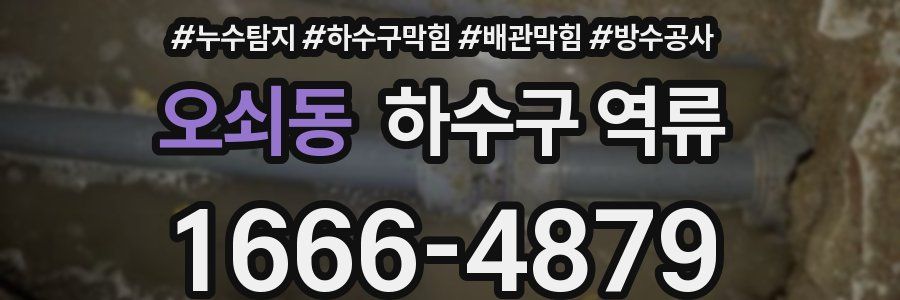 오쇠동 하수구 역류