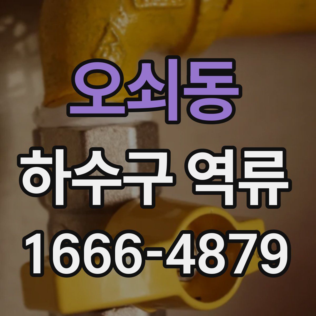 오쇠동 하수구 역류