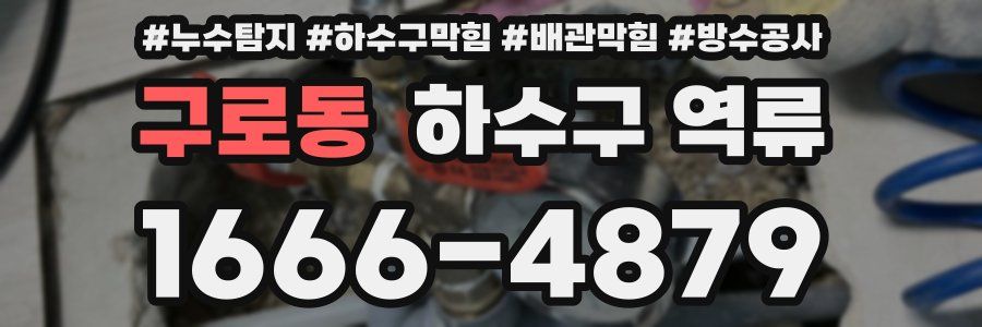 구로동 하수구 역류