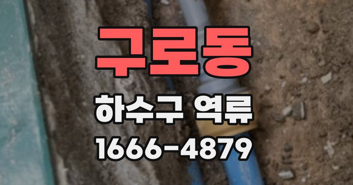 구로동 하수구 역류