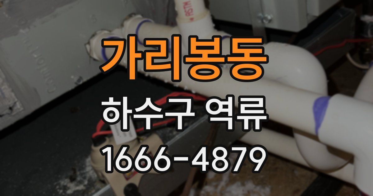 가리봉동 하수구 역류