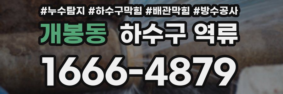 개봉동 하수구 역류