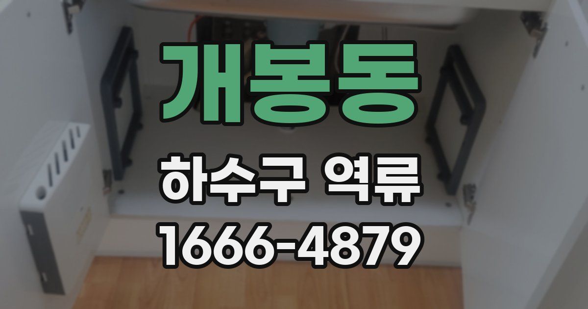 개봉동 하수구 역류