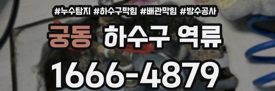궁동 하수구 역류