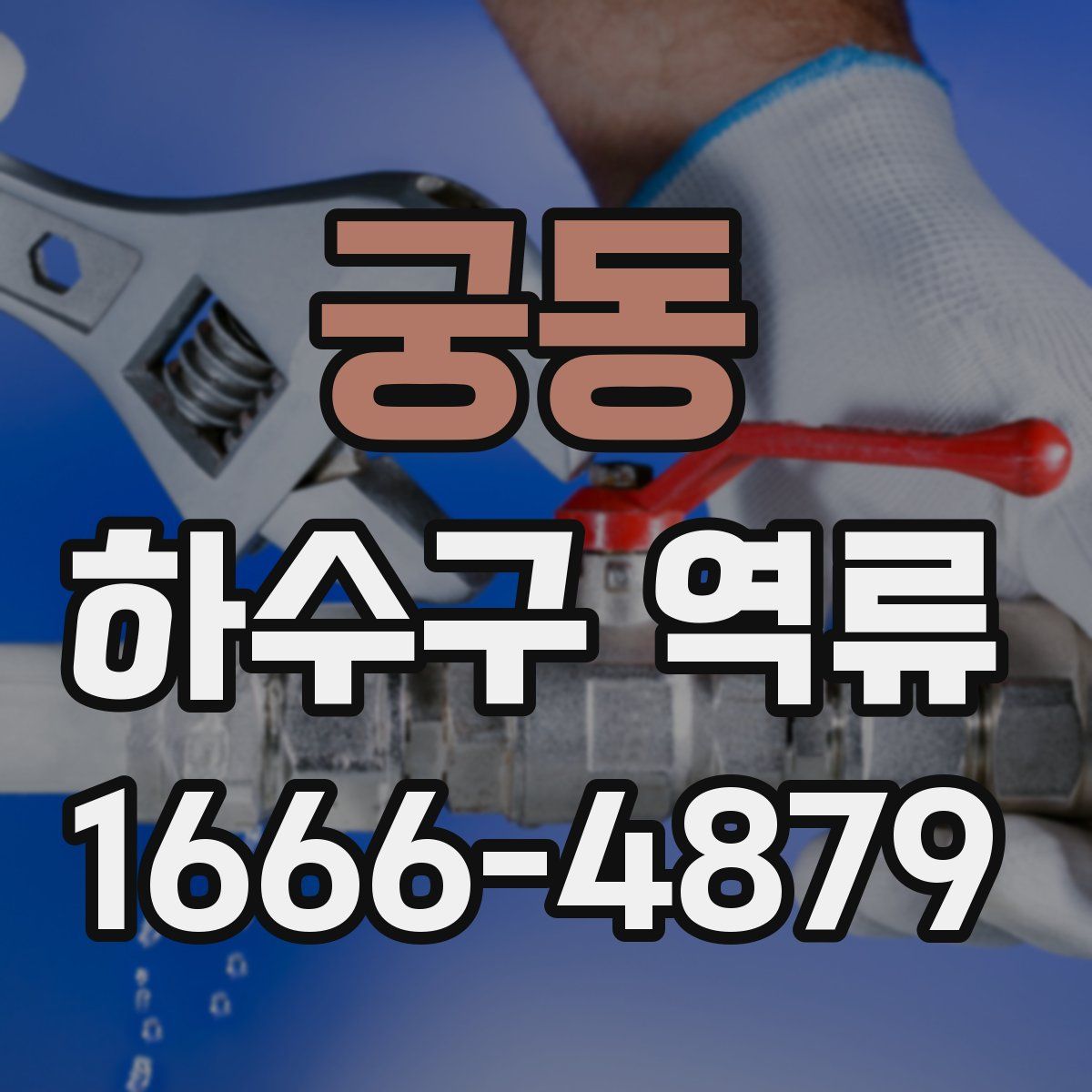 궁동 하수구 역류