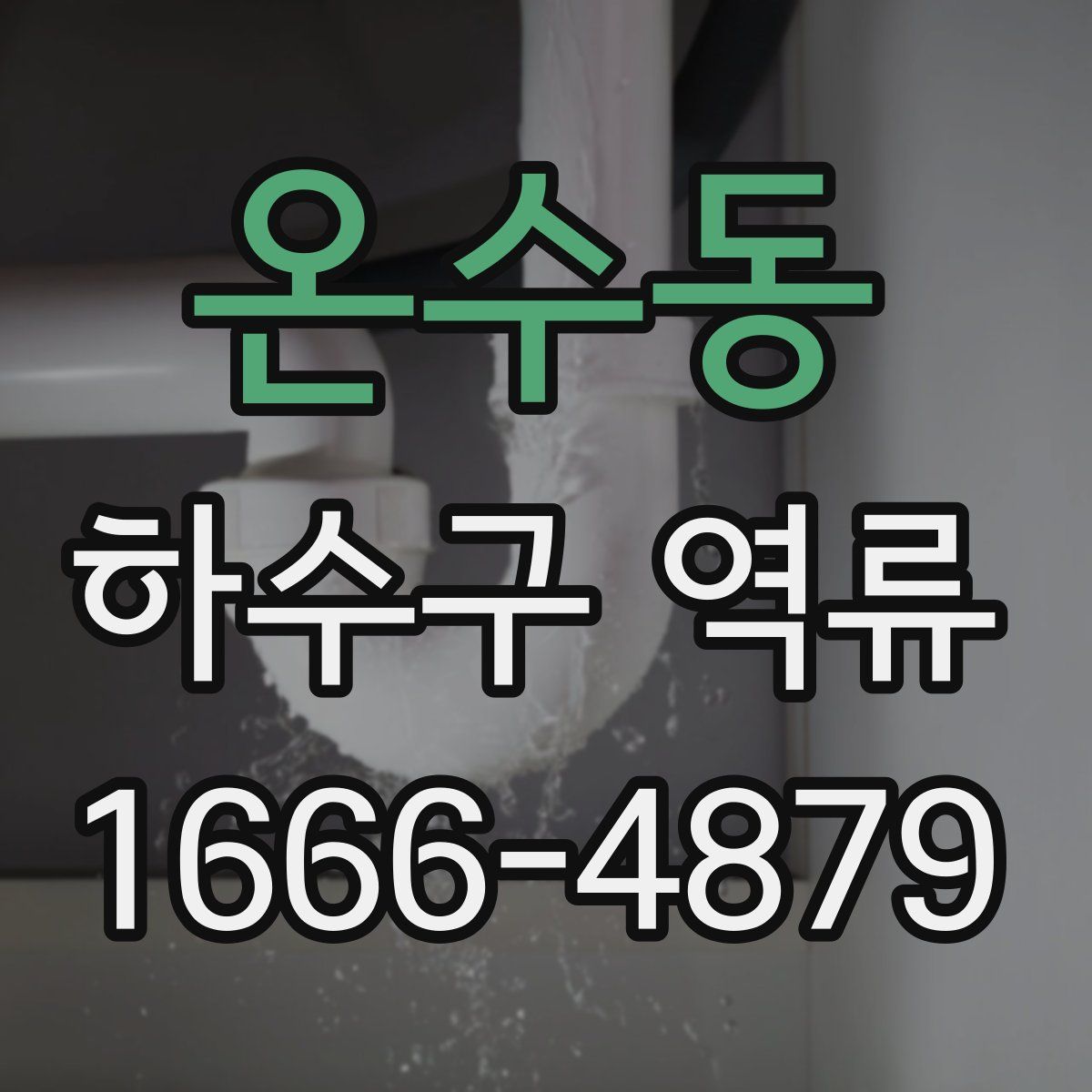 온수동 하수구 역류