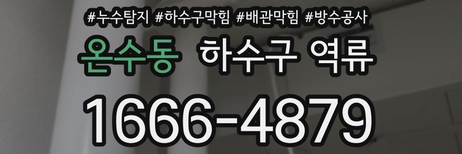 온수동 하수구 역류