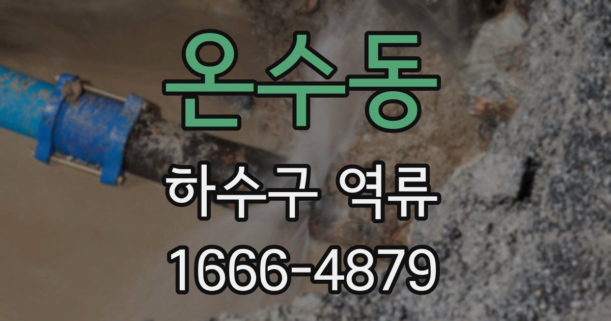온수동 하수구 역류