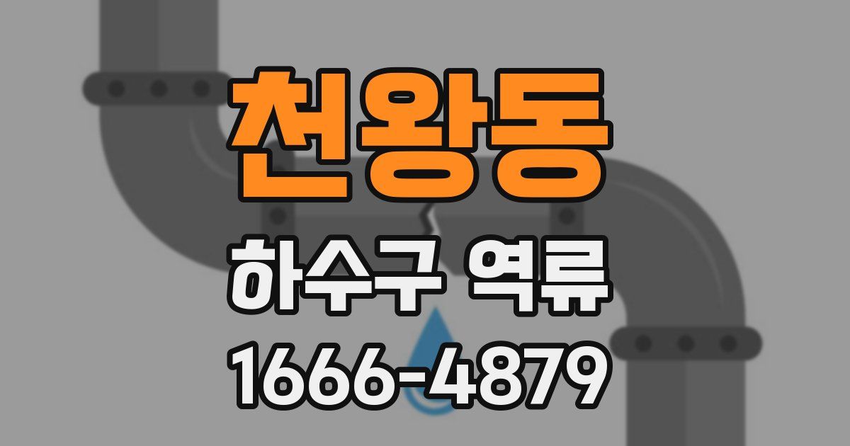 천왕동 하수구 역류
