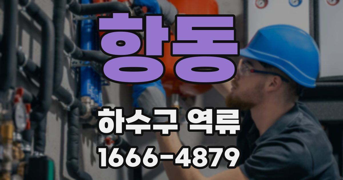 항동 하수구 역류