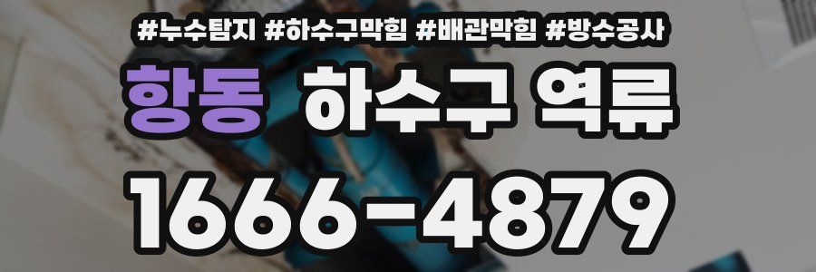 항동 하수구 역류