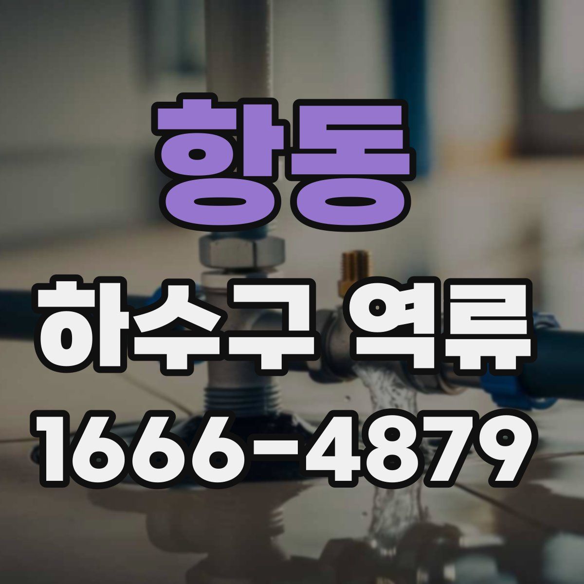 항동 하수구 역류