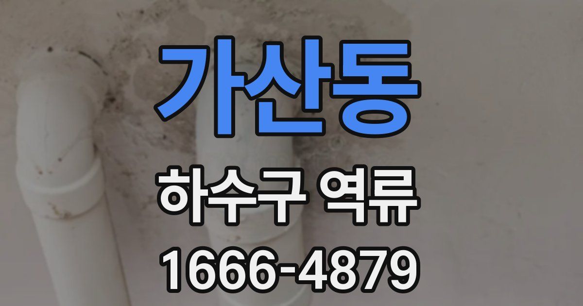 가산동 하수구 역류