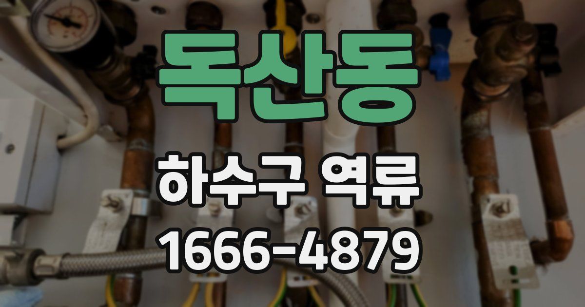 독산동 하수구 역류