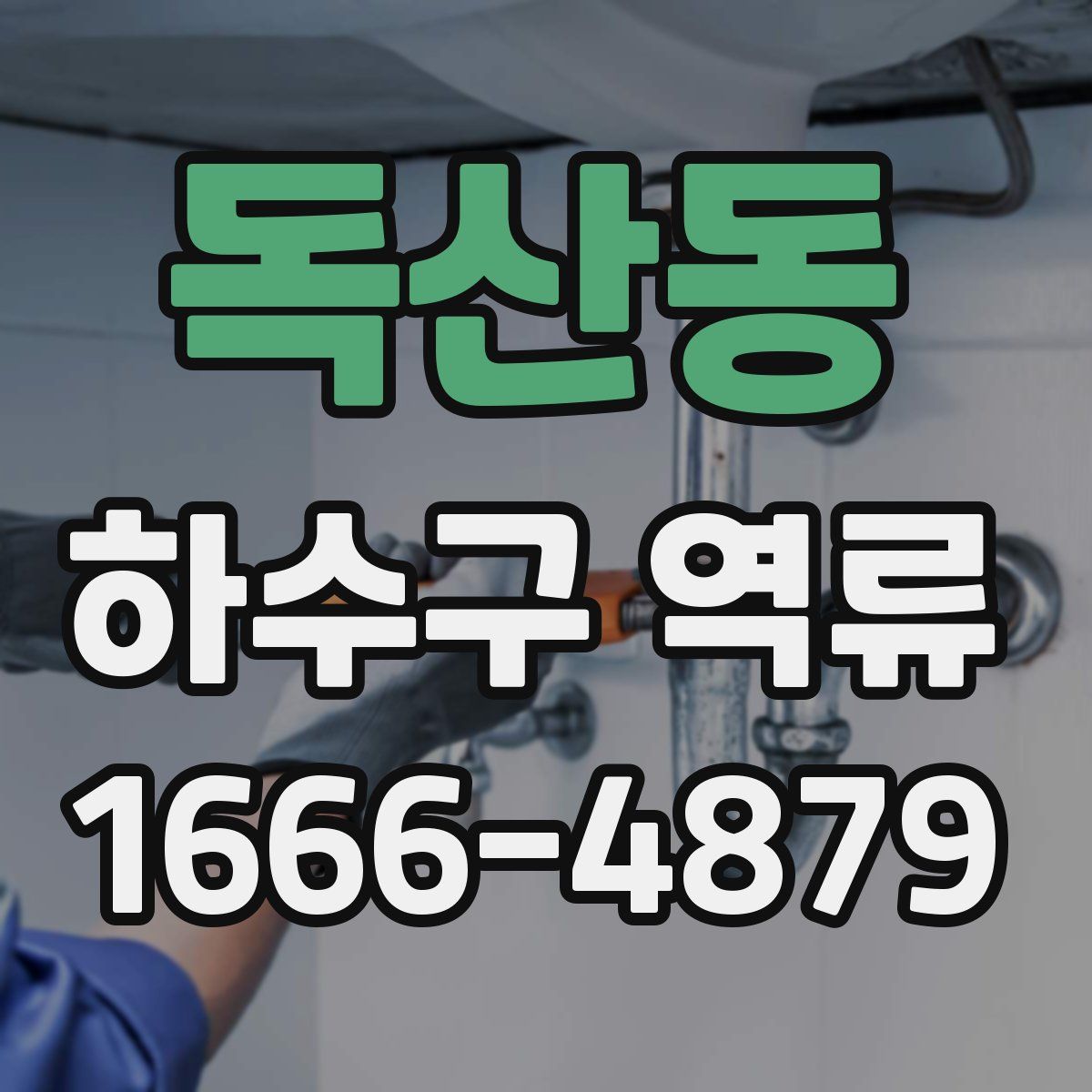 독산동 하수구 역류