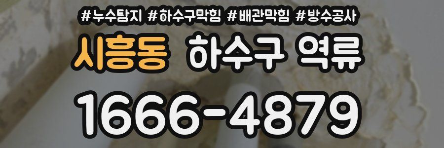 시흥동 하수구 역류