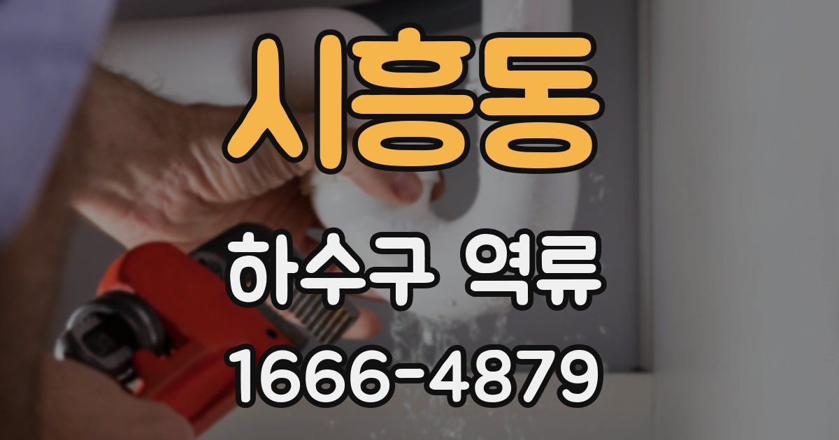 시흥동 하수구 역류