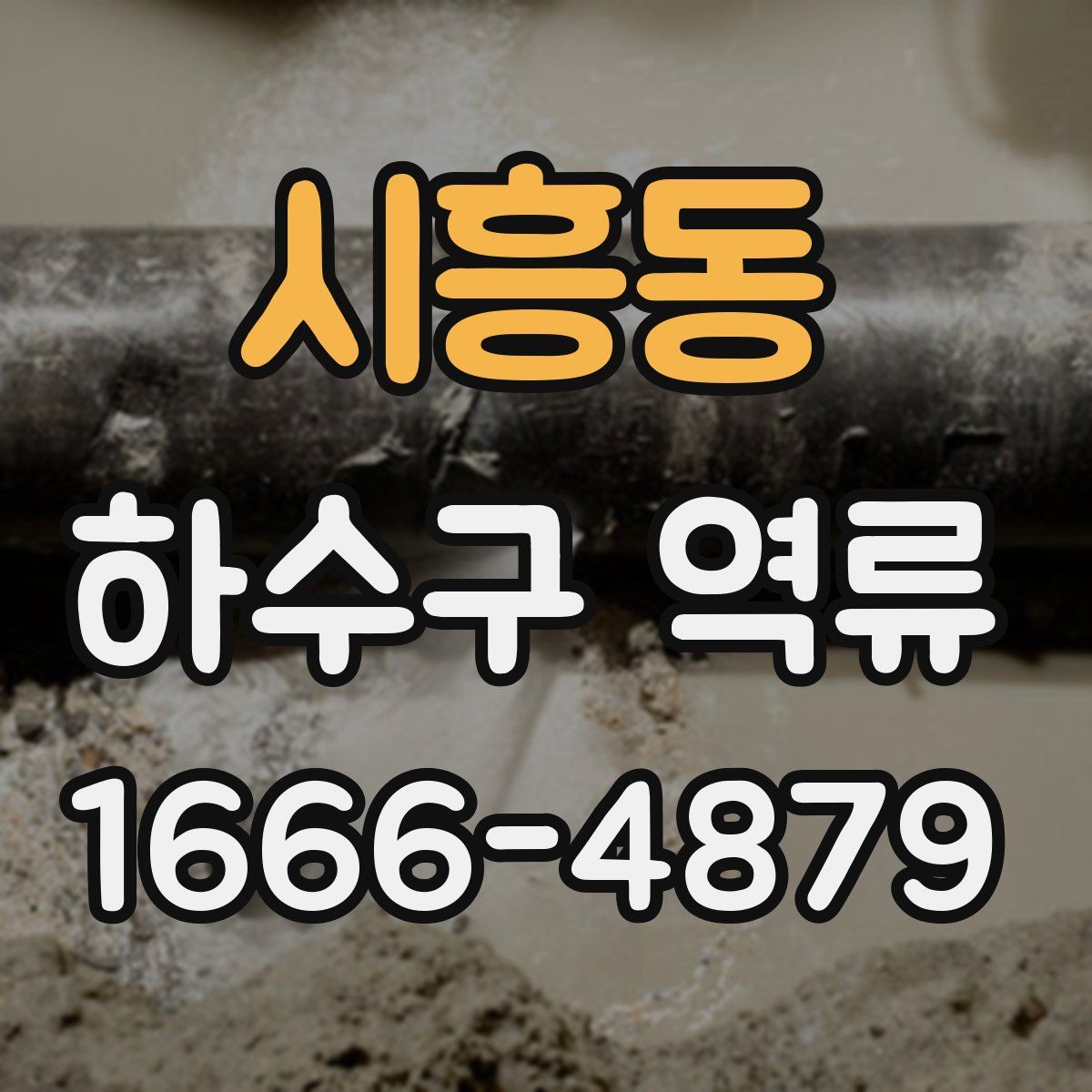 시흥동 하수구 역류