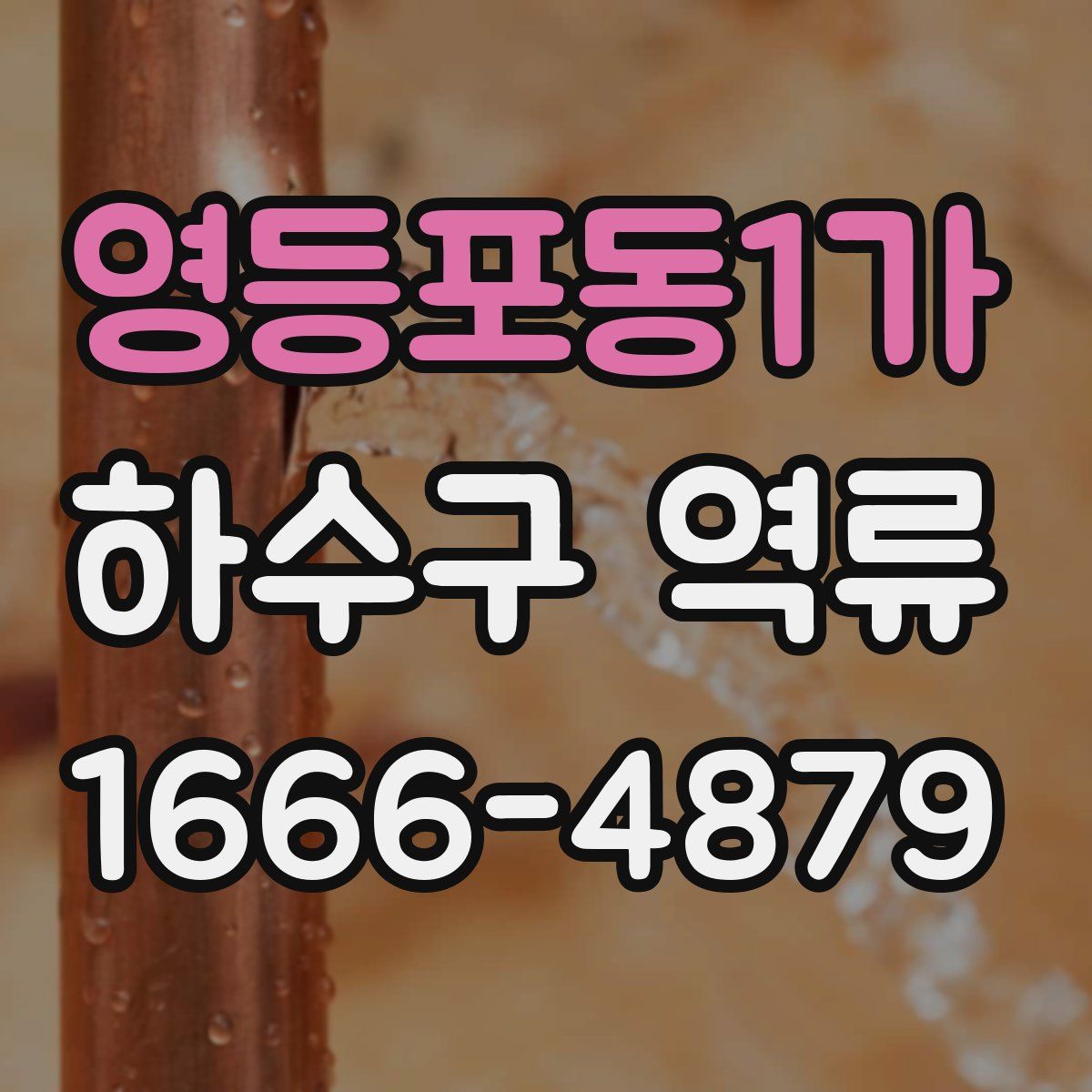 영등포동1가 하수구 역류