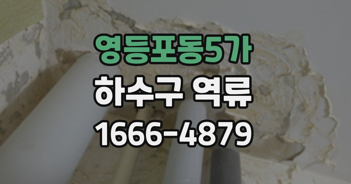 영등포동5가 하수구 역류