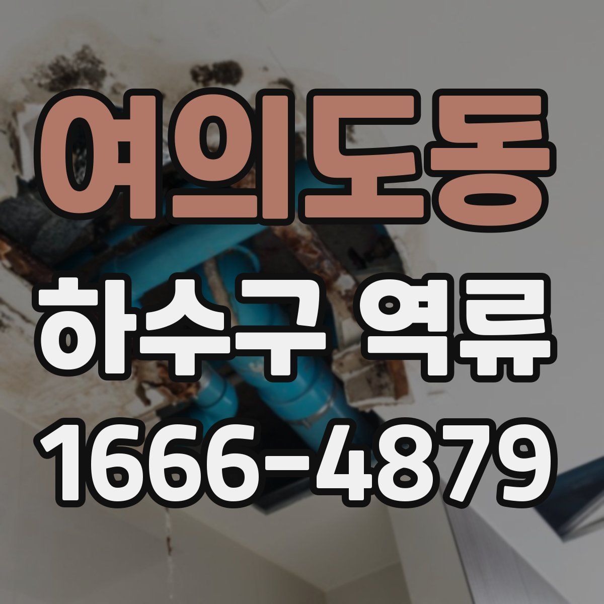 여의도동 하수구 역류