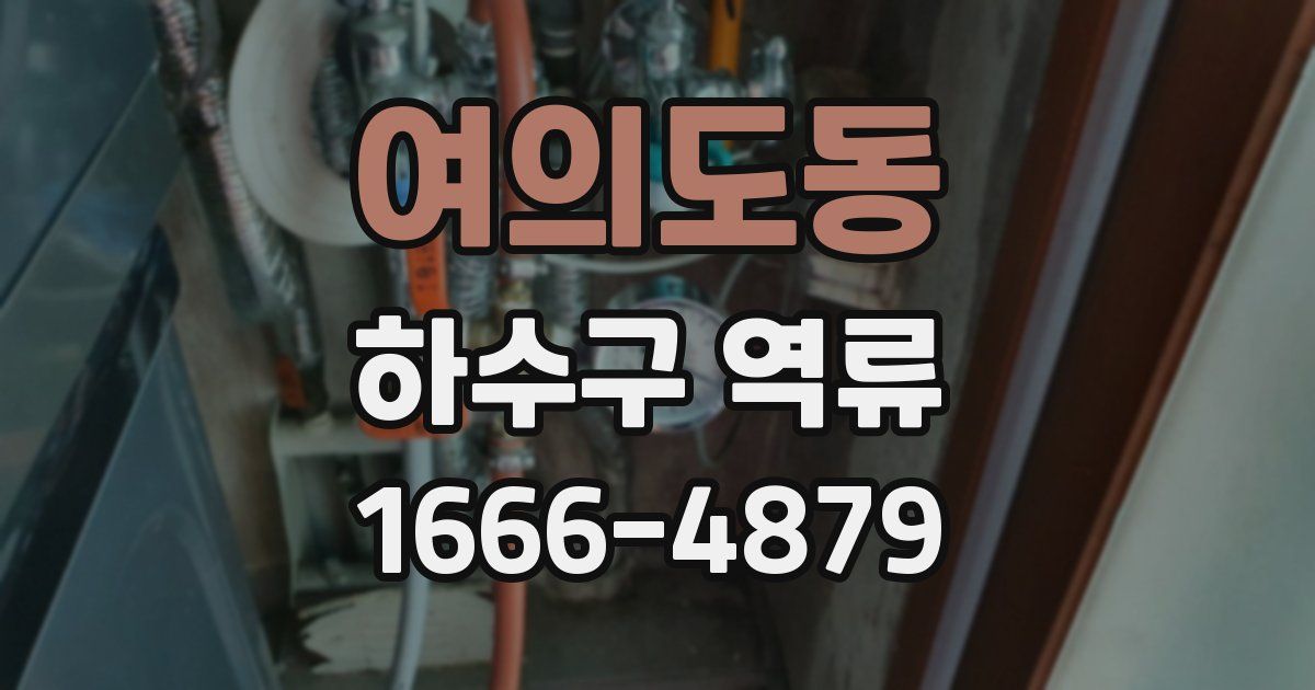여의도동 하수구 역류