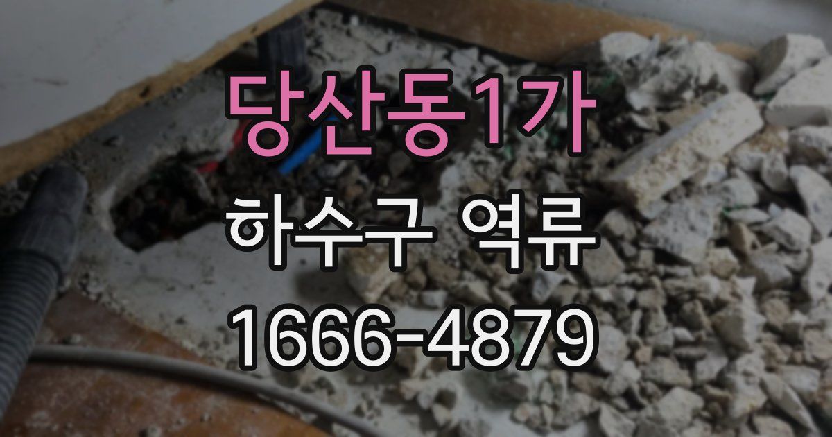 당산동1가 하수구 역류